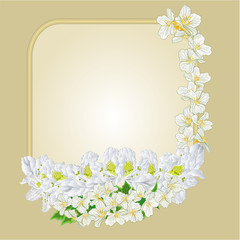 Frame rhododendron and jasmine vector