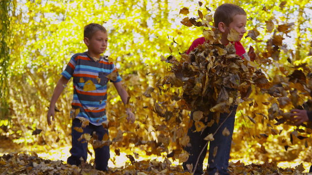 Children playing in fall leaves
