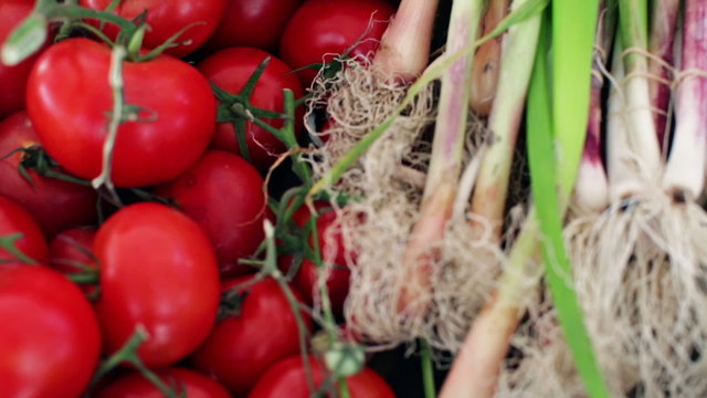 Summer farmers market on Main Street in Parker, Colorado.