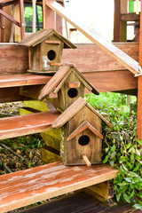 Bird house