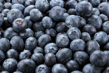 Blueberries close up