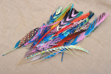 Colored Feathers on Sackcloth