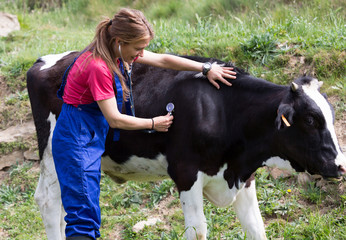 Veterinary on a farm - 84829115