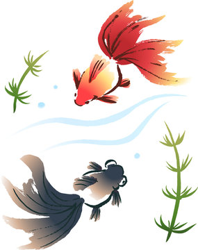 379 Best 琉金 Images Stock Photos Vectors Adobe Stock 379 Best 琉金 Images Stock Photos Vectors Adobe Stock