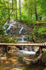 Naklejka premium Tropical rain forest landscape with wooden bridge over the beaut