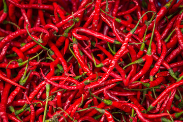Fototapeta premium Red dry chilli pepper close-up