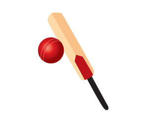 Cricket Ball