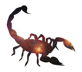 starscorpio