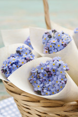 Paper cornets with forget-me-not flowers (Myosotis)