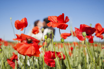 Poppy field and in love couple
