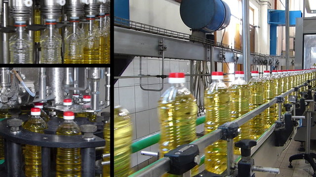 Sunflower oil on automated production line. Machinery for bottling