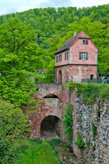 Fototapeta na wymiar Arch Ruins of Heidelberg Castle on Green Hillside