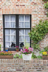 Fototapeta na wymiar Fenster mit Blumen Haus Mauerwerk in Belgien