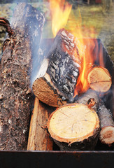 Flame on firewood in grill