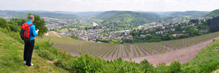 Blick vom Weinberg auf Saarburg