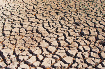 dry ground