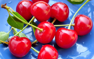 Fresh organic cherries 