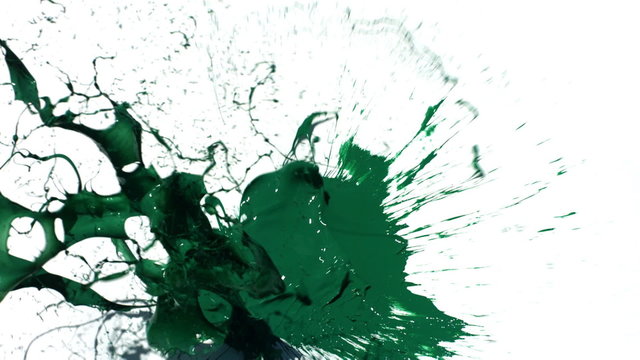 Green paint splattering on white background