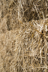Wheat haystack