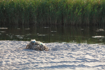 Tangled fishing nets on the beach