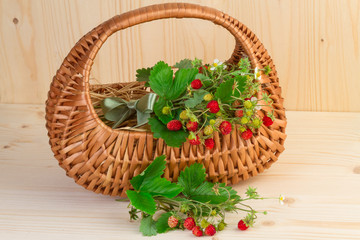 Fototapeta na wymiar basket with wild strawberries