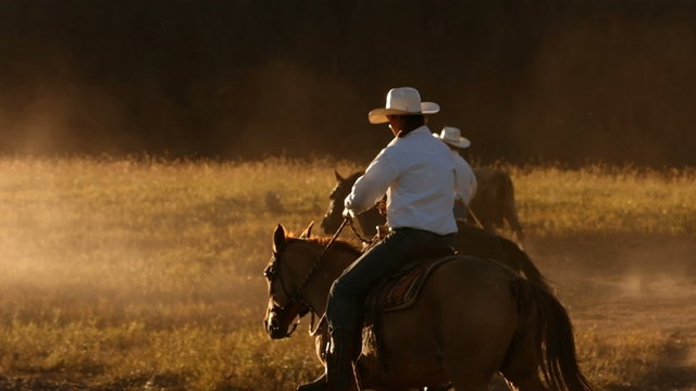 Cowboy on horses at sunset, slow motion