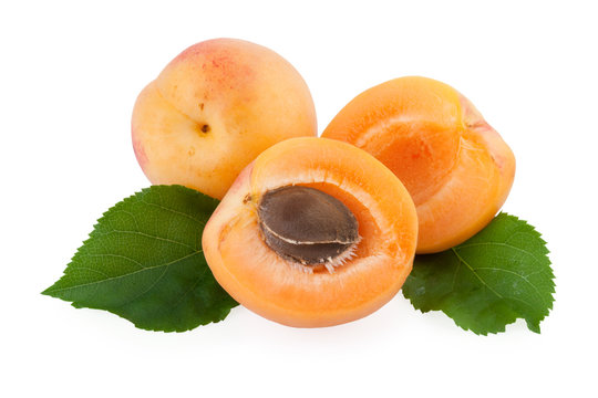 apricots fruits