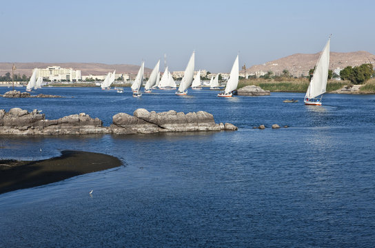 Egypt, Aswan, felucas on the Nile river