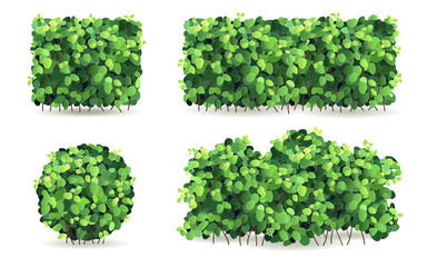 Set of bushes with green leaves of different shapes.