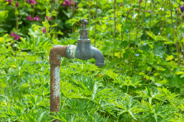 Weathered tap or faucet standing in a garden