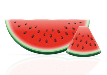 watermelon ripe juicy vector illustration