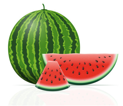 Watermelon Ripe Juicy Vector Illustration