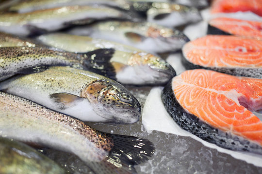 Fresh Salmon Fish On Ice In Market