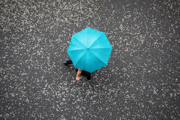 People with Umbrella. People in the Rain with Umbrella, Bird's eye view.