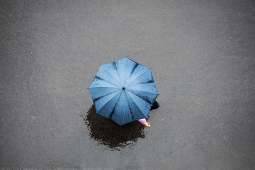 People with Umbrella. People in the Rain with Umbrella, Bird's eye view.