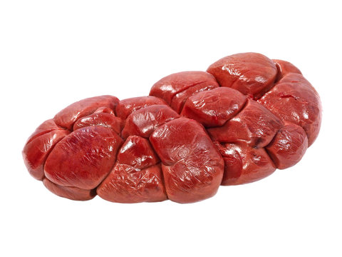 Beef kidney taken closeup.Isolated.