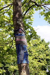 Fototapeta premium urban knitting, eingestrickter baumstamm