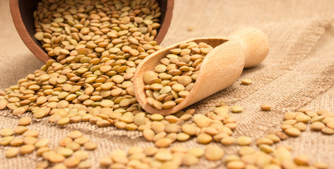 the seeds of green lentils on canvas - 84848764