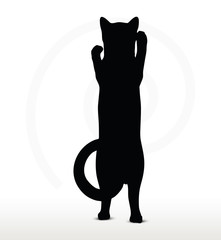 cat silhouette in Boxing pose