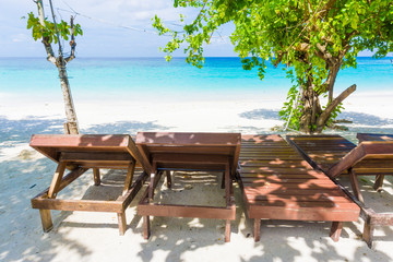 Green tree on white sand beach blue sky.