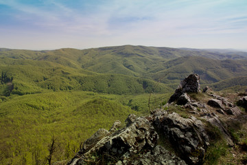Mountain Range with Forested Hills