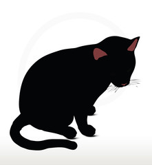 cat silhouette in Sitting pose