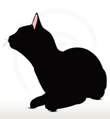 cat silhouette in Sitting pose