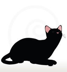 cat silhouette in Sitting pose