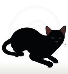 cat silhouette in Sitting pose