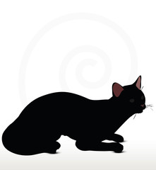 cat silhouette in Sitting pose