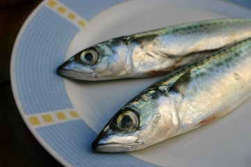 Fresh fish on the plate