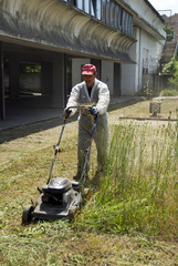 Maintenance of public and private green areas