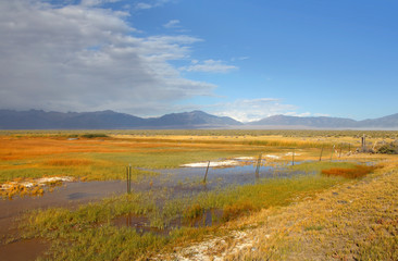 Fototapeta na wymiar Prairie landscape with pond in Colorado state