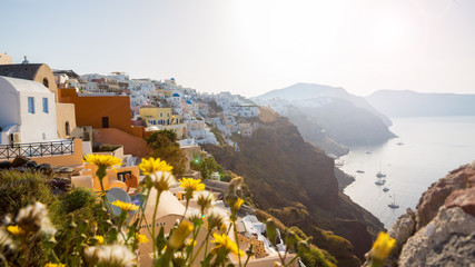 white-blue Santorini - view of caldera with domes and flowers